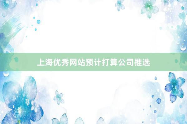 上海优秀网站预计打算公司推选