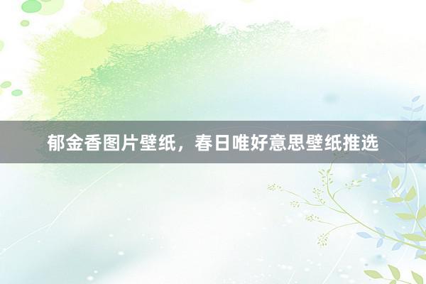 郁金香图片壁纸，春日唯好意思壁纸推选
