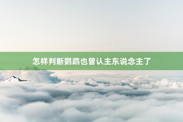怎样判断鹦鹉也曾认主东说念主了
