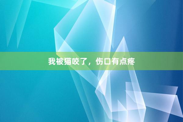 我被猫咬了,伤口有点疼