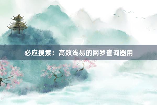 必应搜索：高效浅易的网罗查询器用